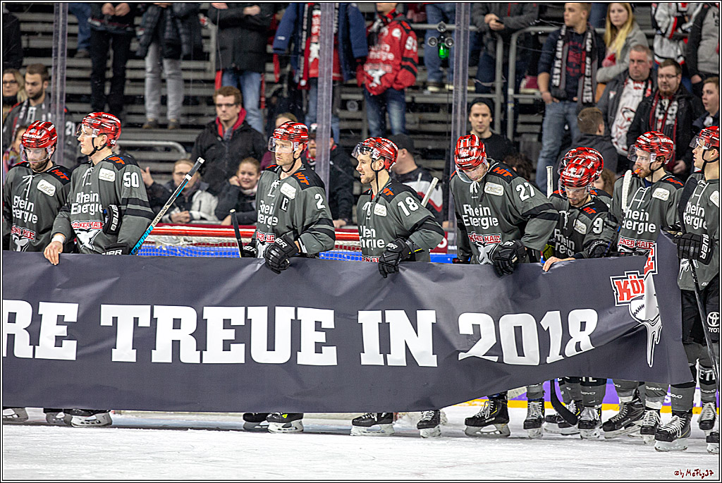 DEL; Koelner Haie - Grizzlys Wolfsburg, 26.12.2018